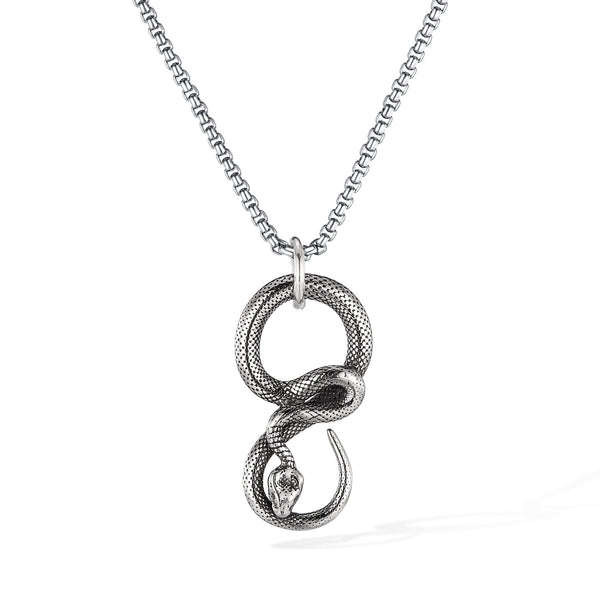 Snake Pendant Necklace for Men – Titanium Stainless Steel Infinity Serpent Necklace – Gothic Reptile Symbol Amulet Jewelry-Men's Pendant Necklace-SunnyHouse Jewelry