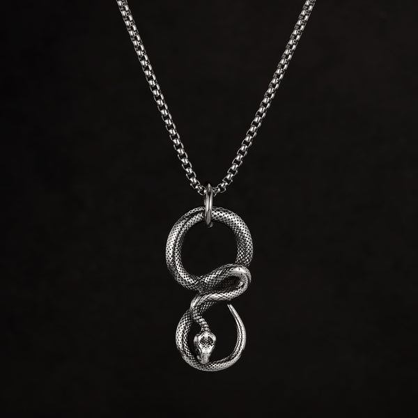Snake Pendant Necklace for Men – Titanium Stainless Steel Infinity Serpent Necklace – Gothic Reptile Symbol Amulet Jewelry-Men's Pendant Necklace-SunnyHouse Jewelry