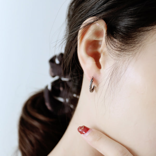 Women's Fashion Hoop Earrings-Womens Earrings-SunnyHouse Jewelry